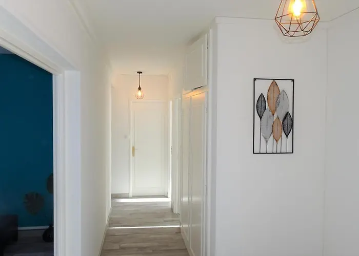 Grand T3/t4 Proche Des Berges Du Cher Appartement *