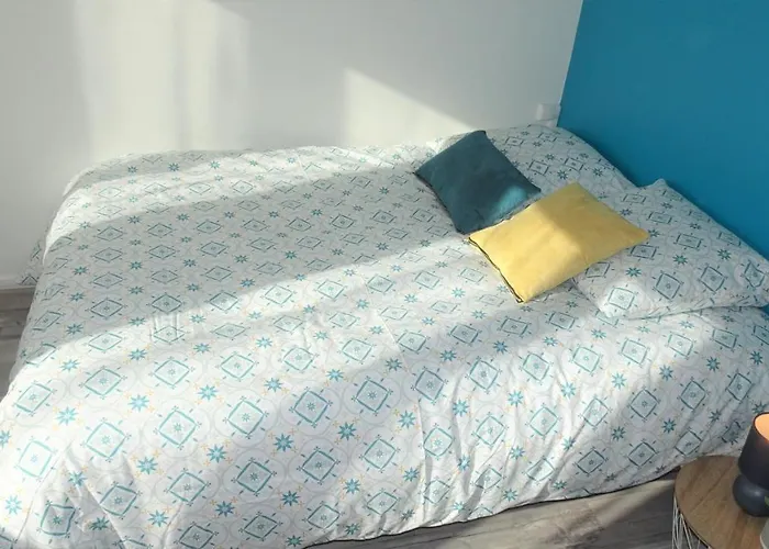 Grand T3/t4 Proche Des Berges Du Cher