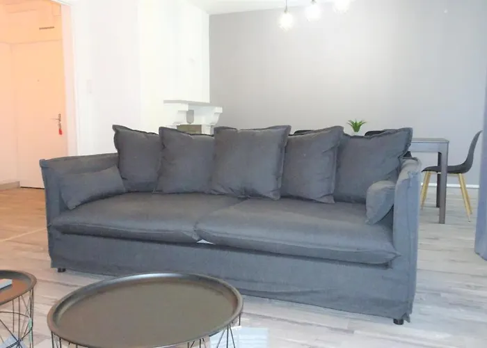 Grand T3/t4 Proche Des Berges Du Cher Appartement