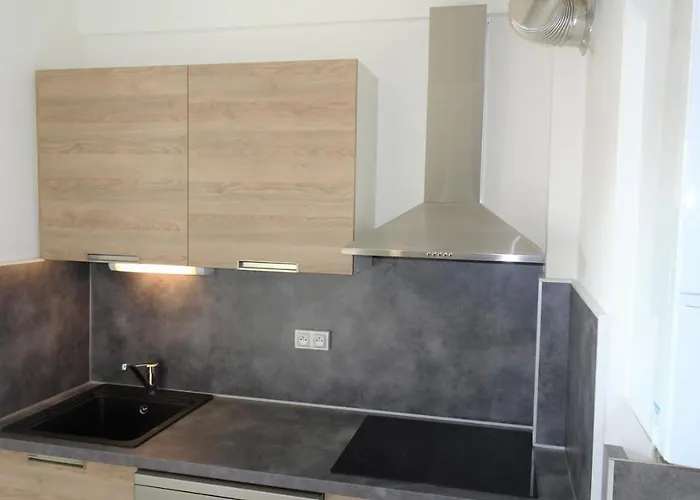 Grand T3/t4 Proche Des Berges Du Cher